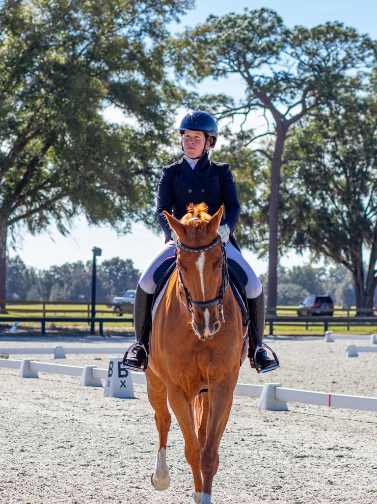 Equestrian rider in formal attire on a chestnut horse during a dressage event in a sunny outdoor are