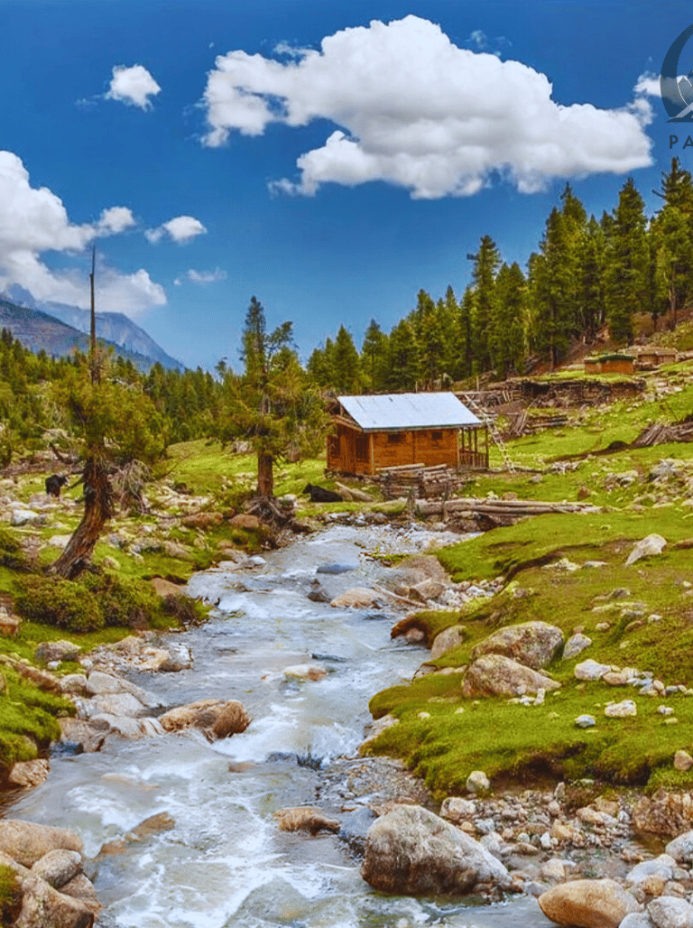 Water stream passing through fairy meadows 