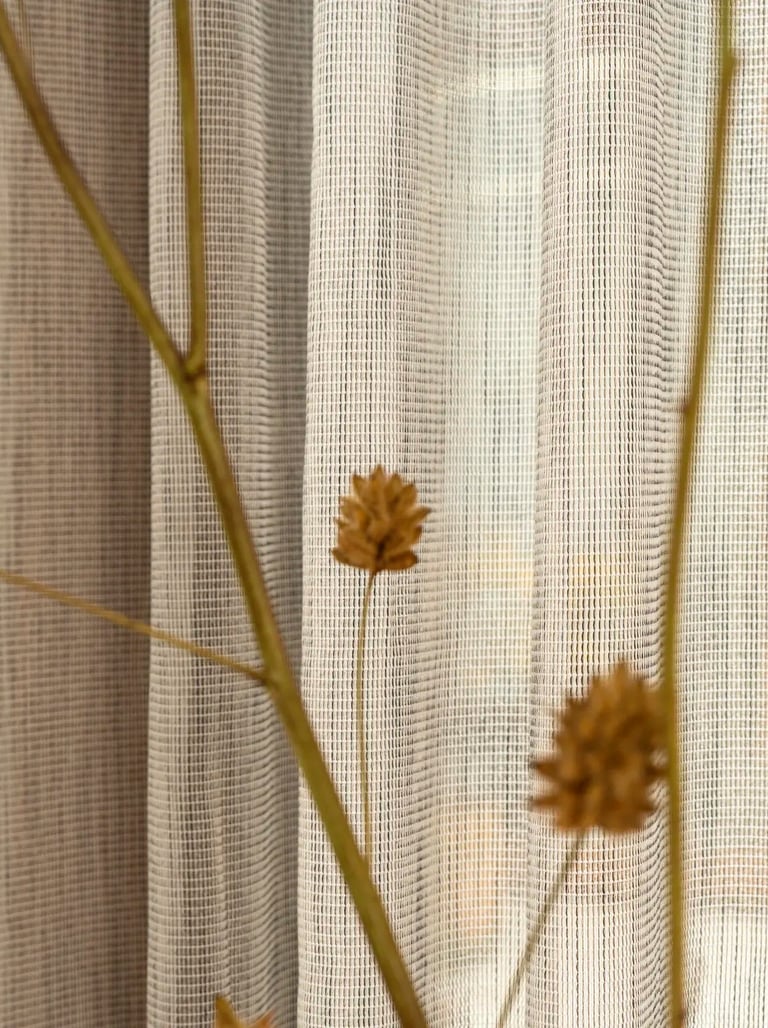 Užuolaidinis audinys MIra