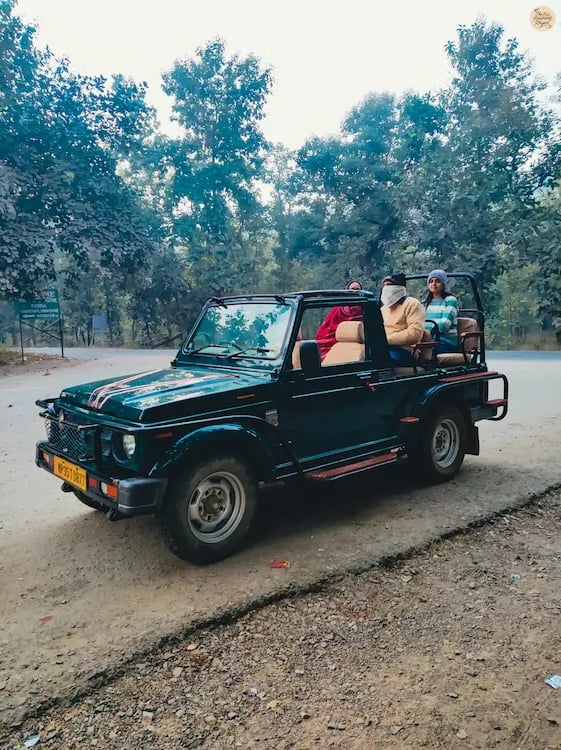 open safari gypsy ready for an early morning wildlife adventure in forests of Panna Tiger Reserve