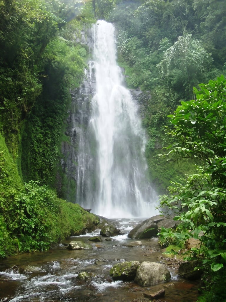 Cascada la granada en coatepec veracruz