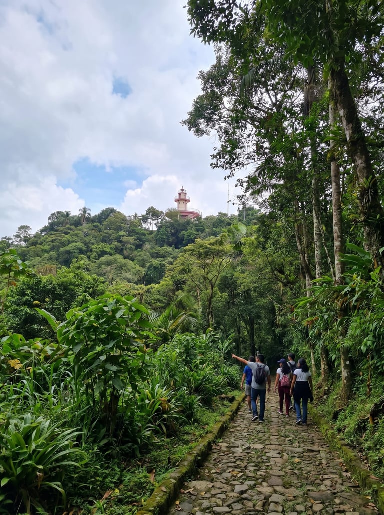Cerro de las culebras y mirador en coatepec veracruz senderismo en mexico