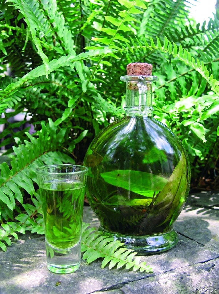 licor verde de xico en veracruz
