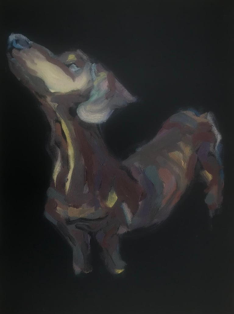 Dog in a shelter by Lina Mikuzyte