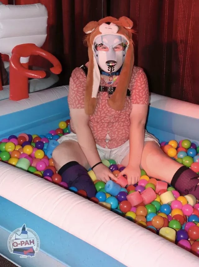 Person in a ball play pit wearing a pup hood.