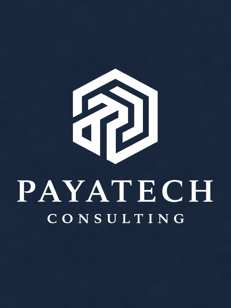 Payatech Consulting Sanaz Ahmadi