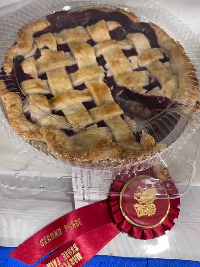 Fresh baked lattice crust berry pie in a plastic container with a second place fair ribbon.