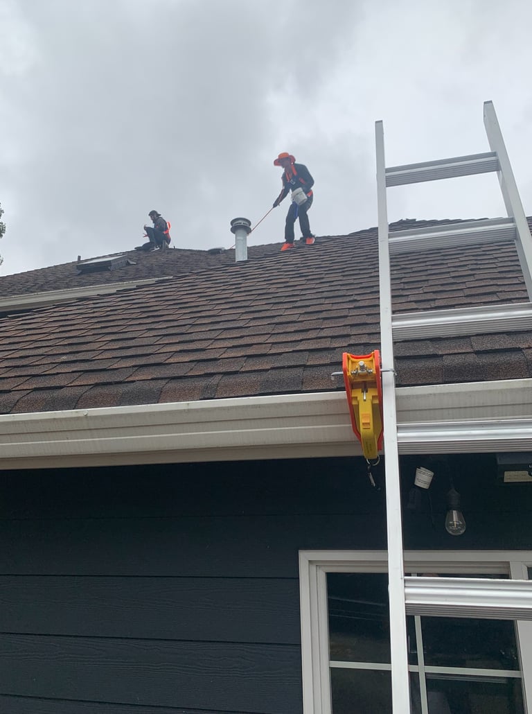 Second Chance Roofs Roof Cleaning Service