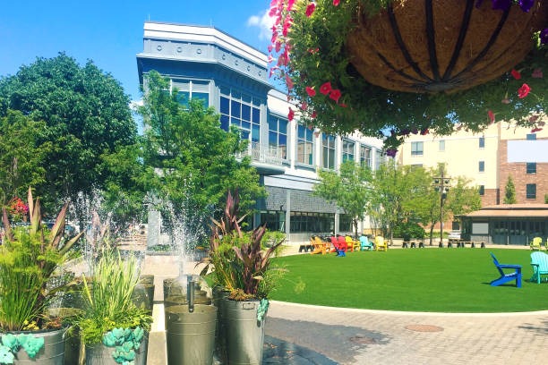 artificial turf for commercial buildings phoenix