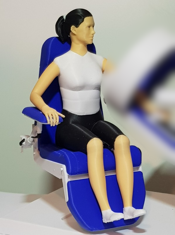 Medical device model with dummy