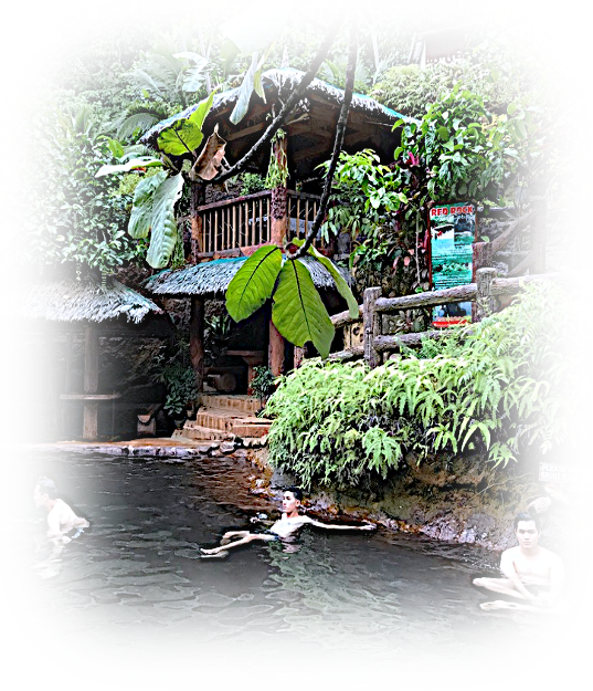 a group of people are swimming in a pond