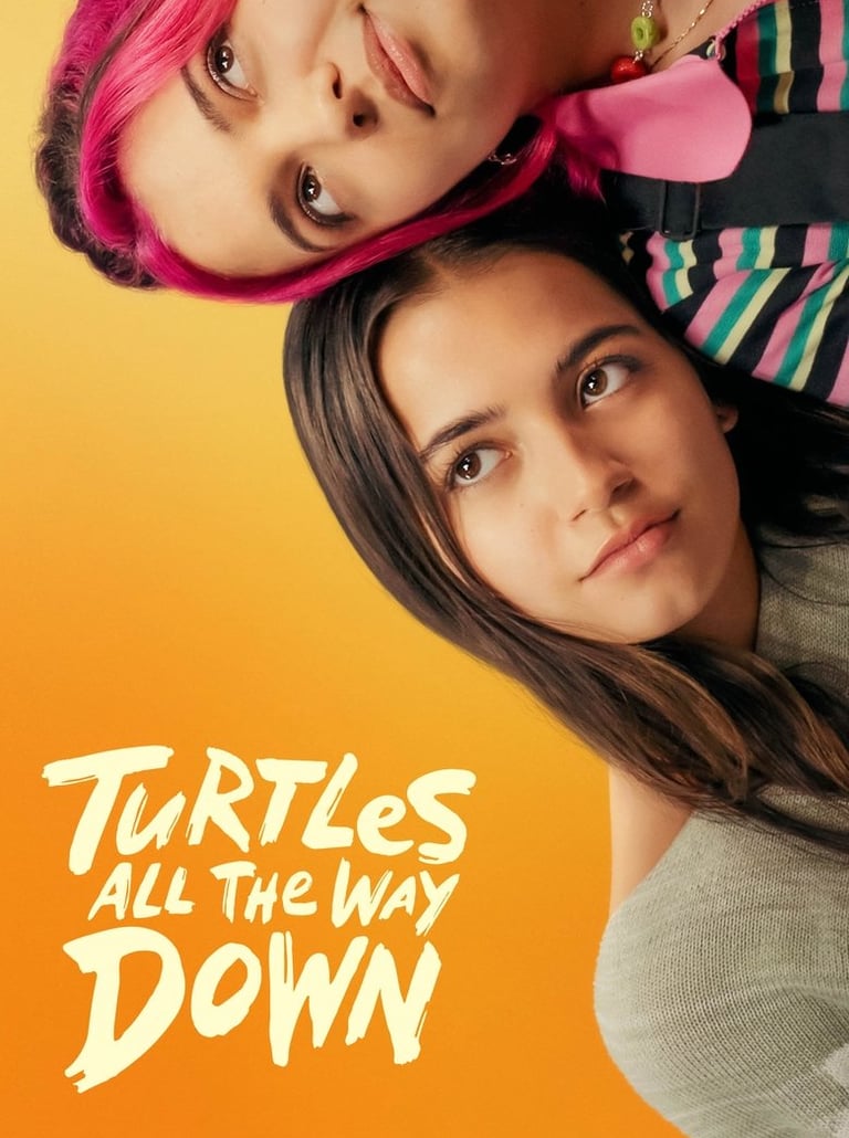 Turtles All the Way Down 