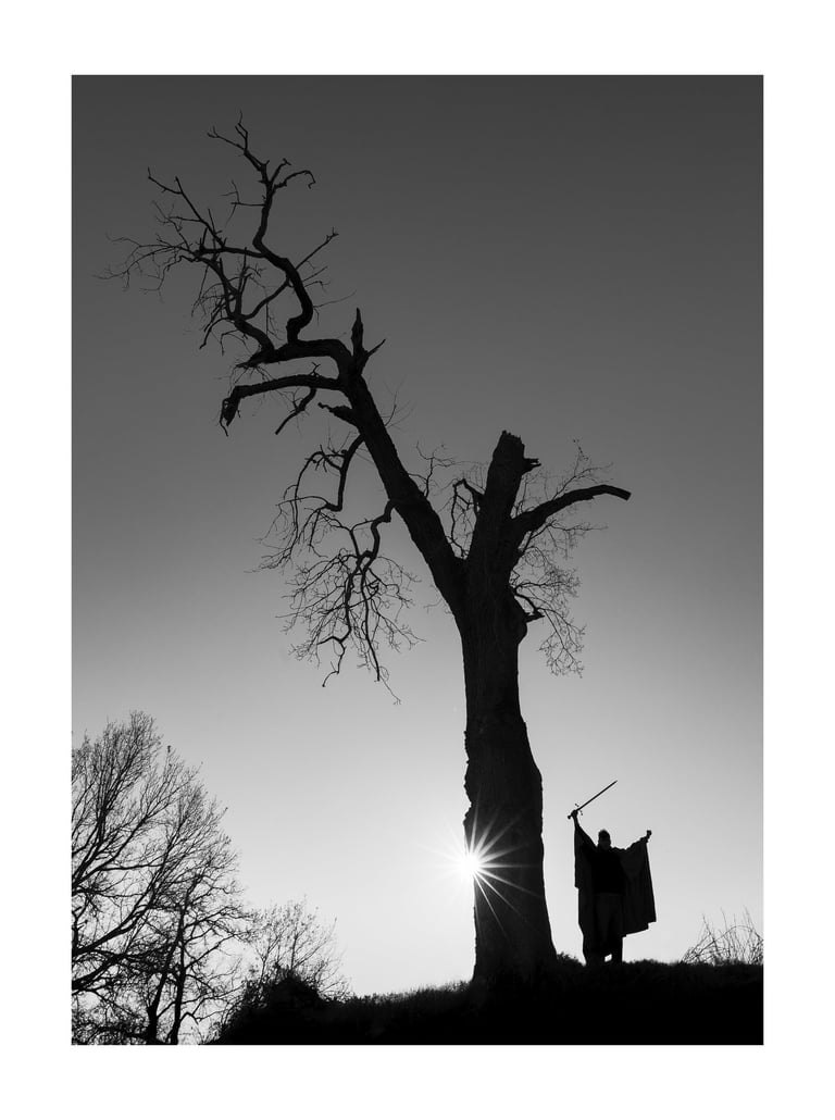 L'Arbre Magique - Le Chevalier 