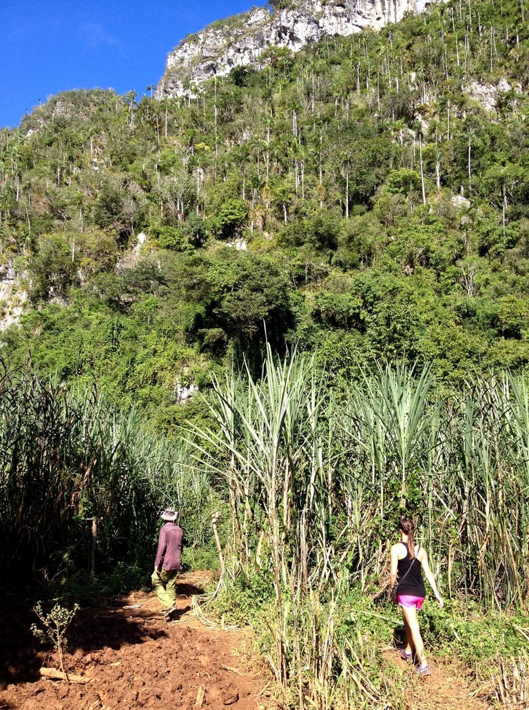 Vinales-Cuba