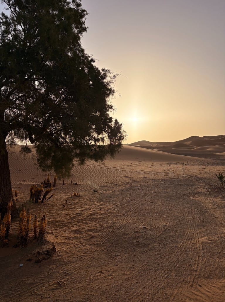 Désert merzouga