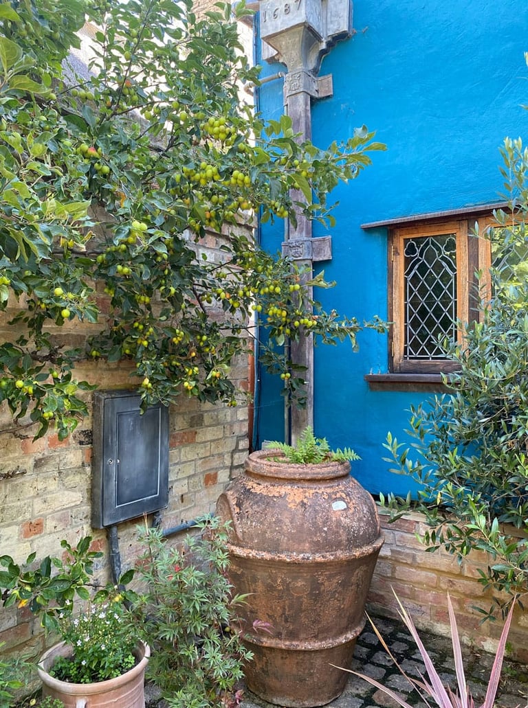 A corner in a peaceful garden corner with brick wall, plant urns and a blue house facade.