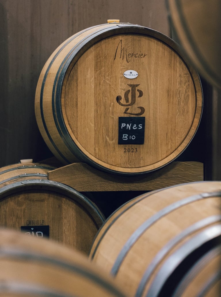 Fût de Chêne, Champagne, Pinot Noir 2025