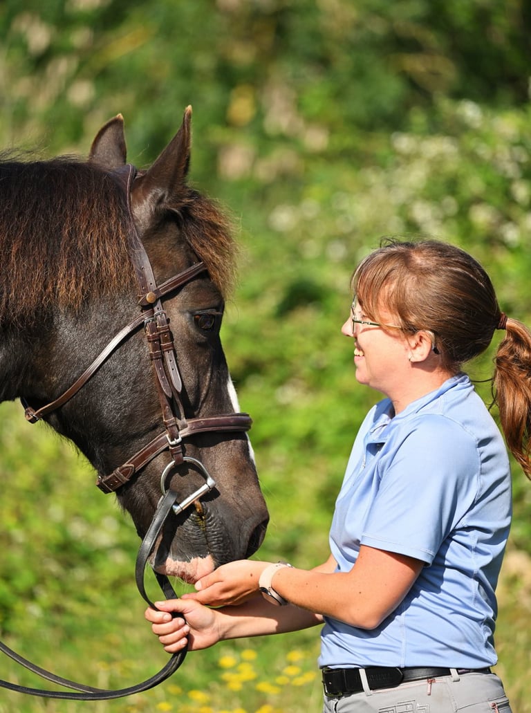 Horse and rider