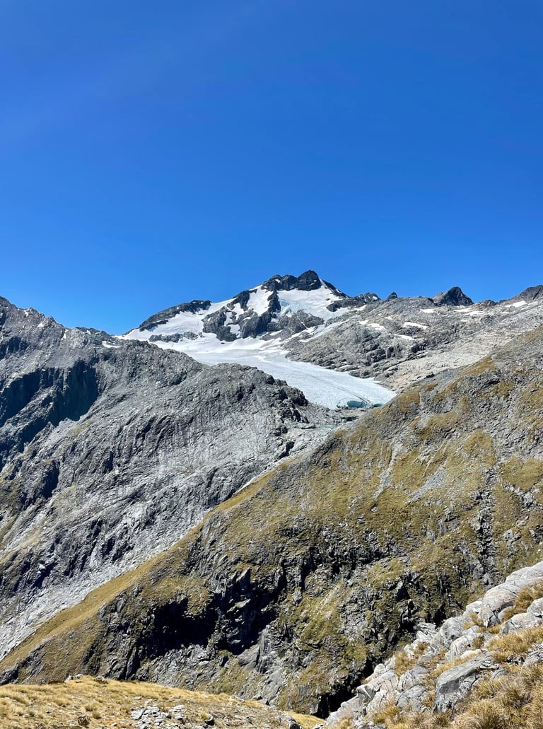 Brewster Glacier desde Brewster Hut