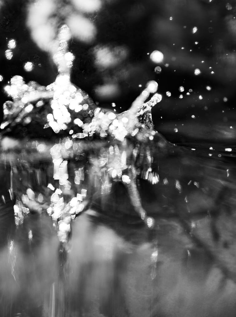 Black and white abstract macro photography of shimmering water splashes and bokeh light reflections.