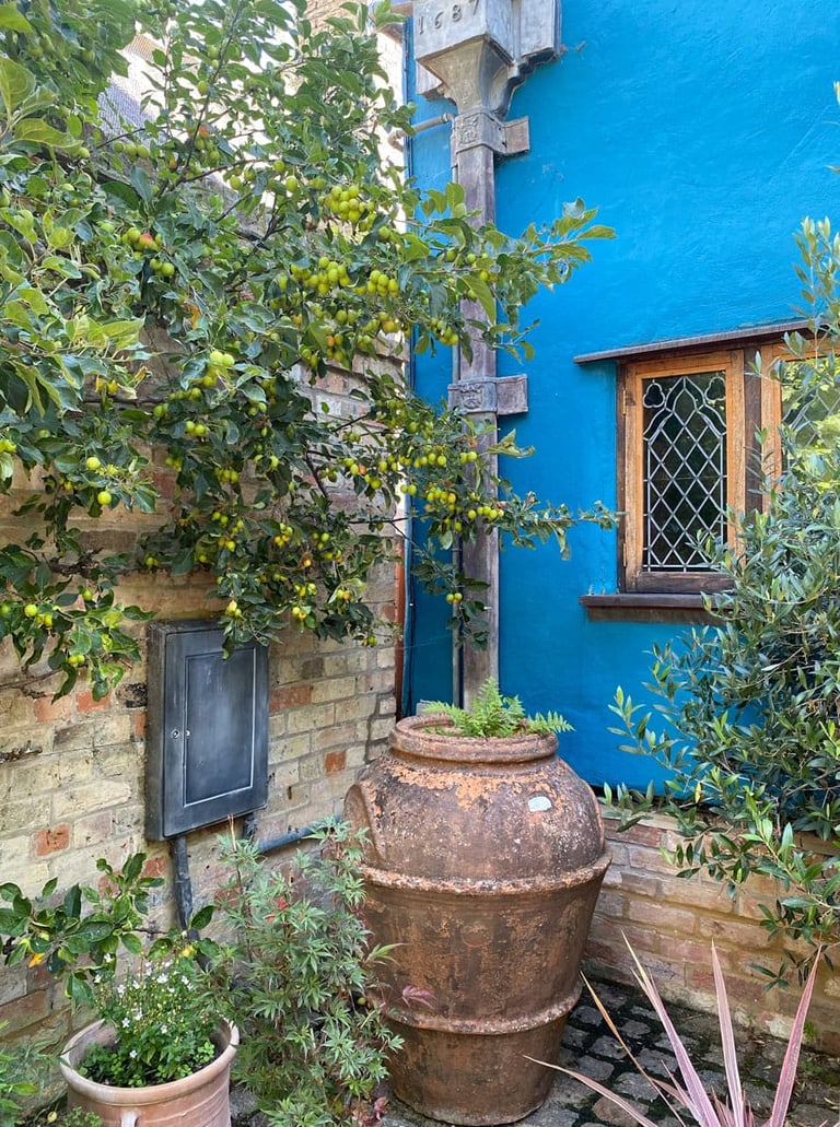 A corner in a peaceful garden corner with brick wall, plant urns and a blue house facade.