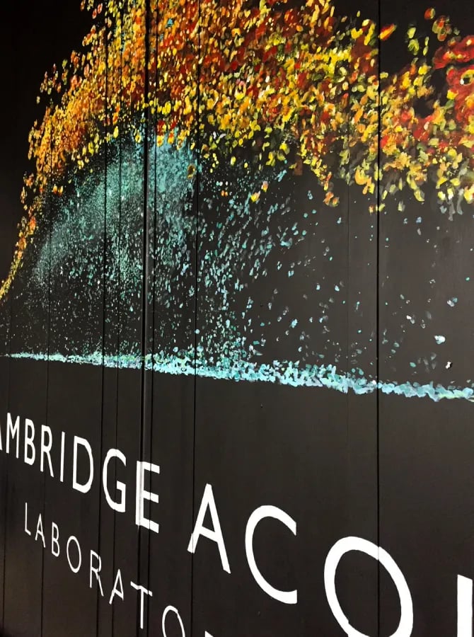 Close-up on angled logo mural with black background and yellow and teals dots, Cambridge Acoustic