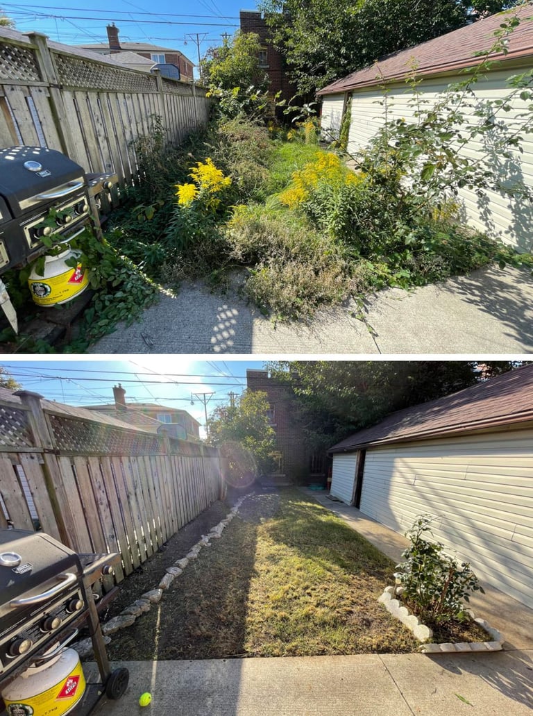 Before and after of a professional garden bed restoration and debris cleanup.