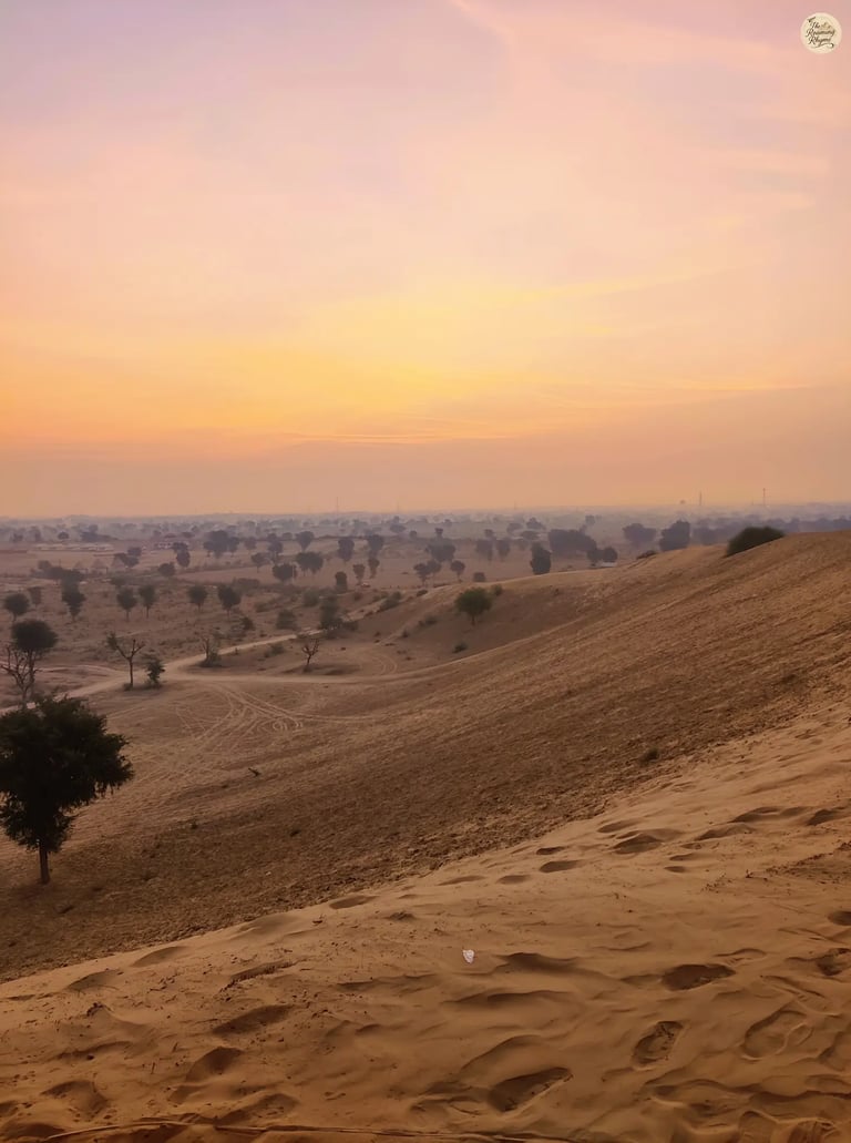 Sunset over Raisar dunes in Bikaner, casting a warm twilight glow.