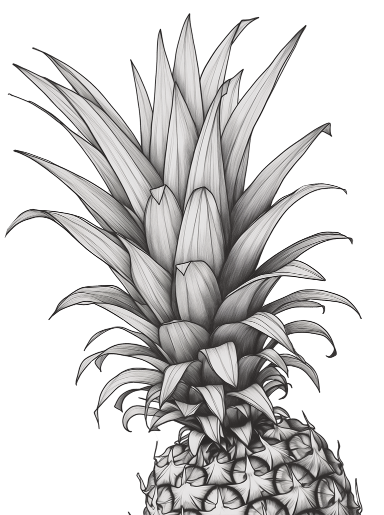 Pineapple line illustration, © 2025