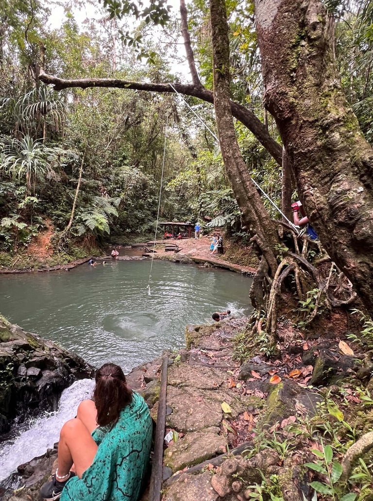 La poza de Colo-i-Suva Forest park