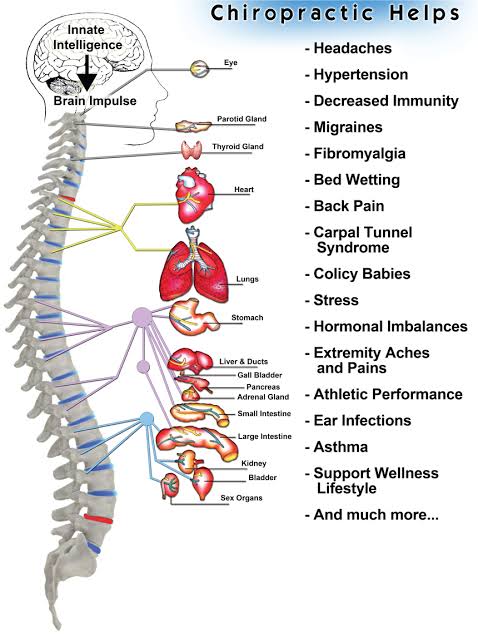 Vetrivel Health center best chiropractic and varamam theraphy 