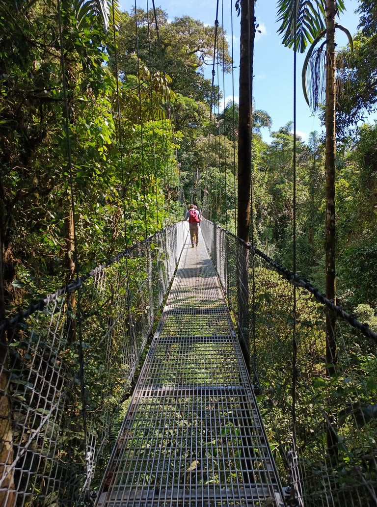 walking the hanging bridgets in la fortuna, costa rica.