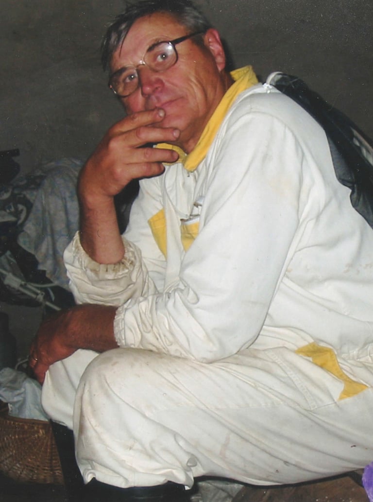Apis cara medus kungiai