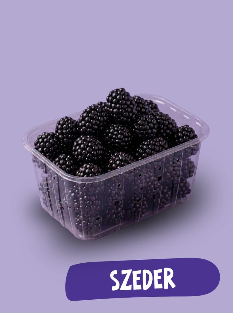 Friss, érett szeder egy műanyag edényben, lila háttérrel és „Szeder” felirattal.