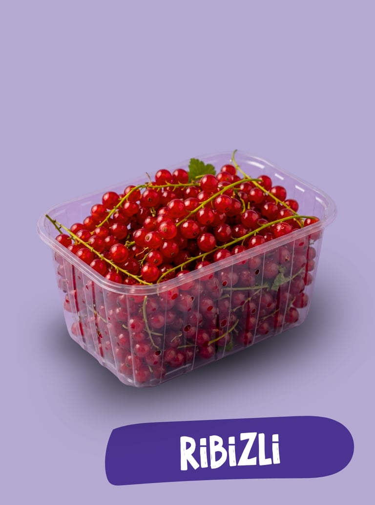 Friss piros ribizli átlátszó műanyag tartályban, lila háttér előtt.