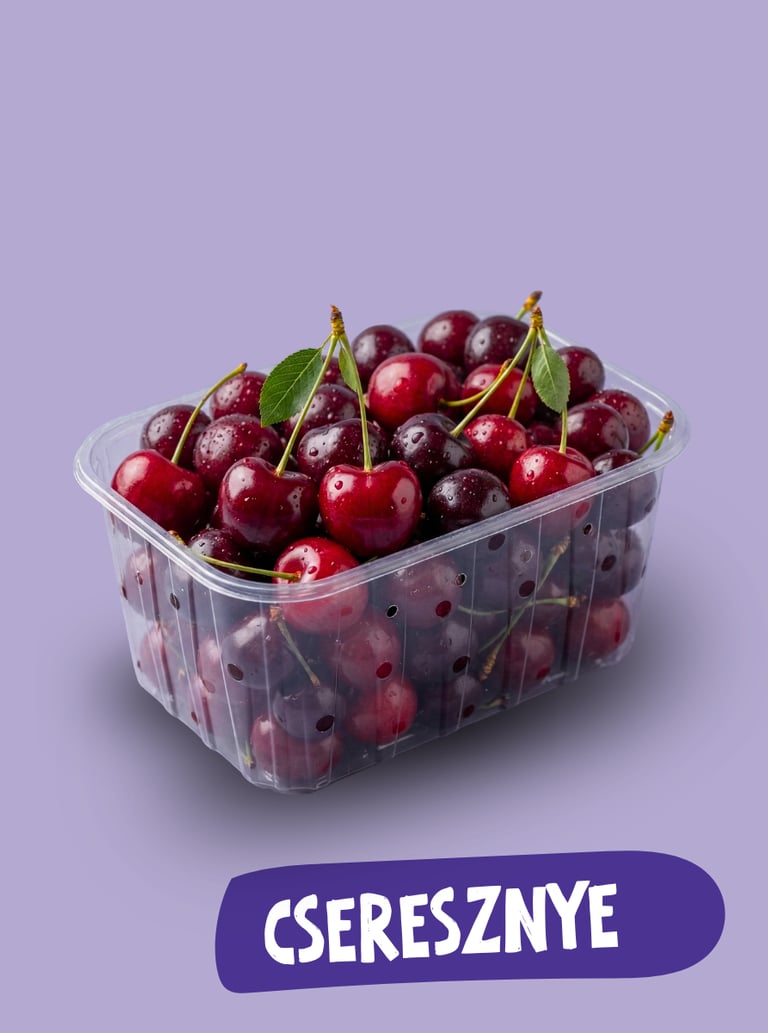 Friss piros cseresznye vízcseppekkel egy műanyag edényben, lila háttér előtt.