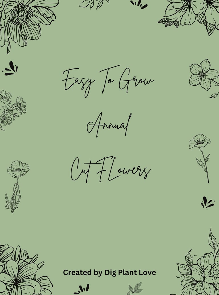Easy to Grow Annual Cut Flower Guide