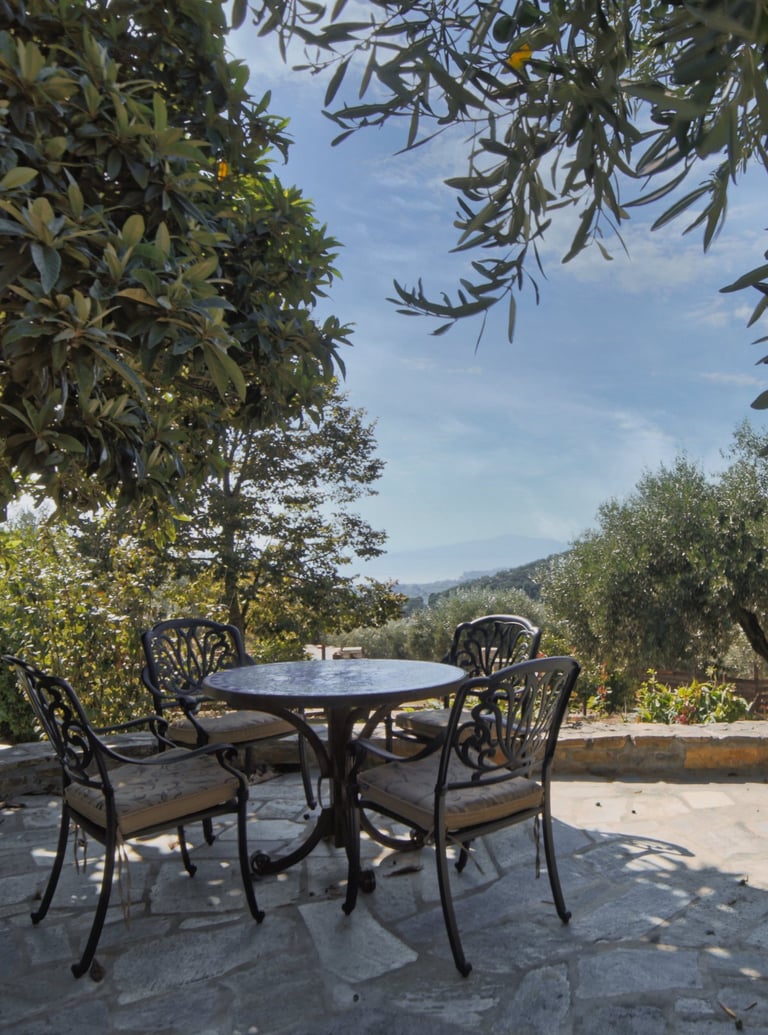 Gemütliche Terrasse mit Tisch und Stühlen im Olivenhain, perfekt zum Verweilen und Entspannen