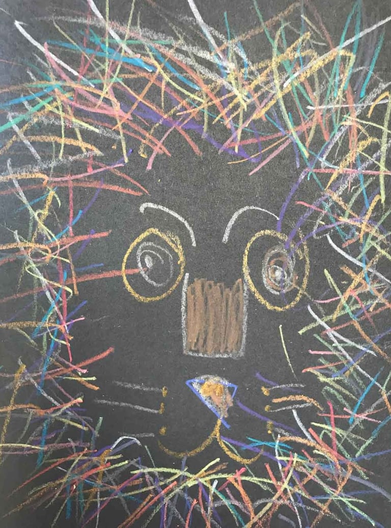 drawing of a colorful lion