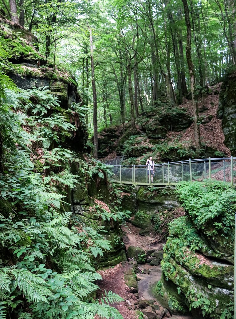 Mullerthal Trail