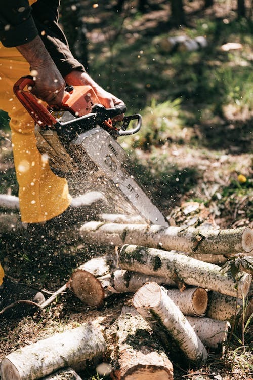 tree trimming in baton rouge