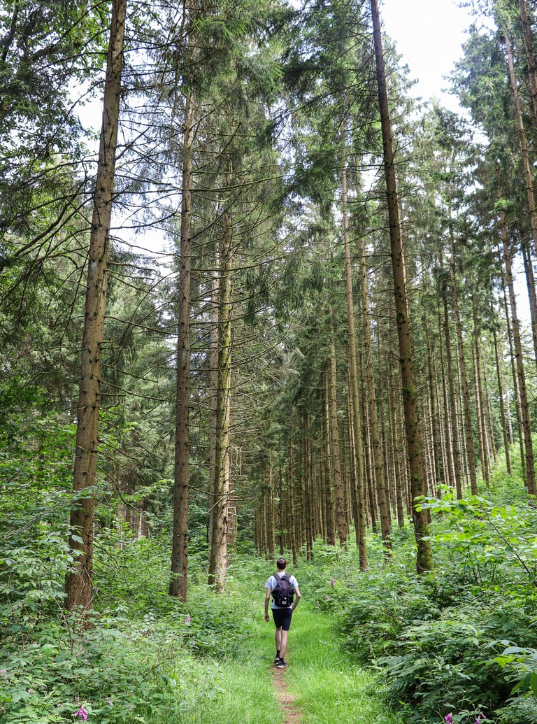 Escarpardenne Lee Trail
