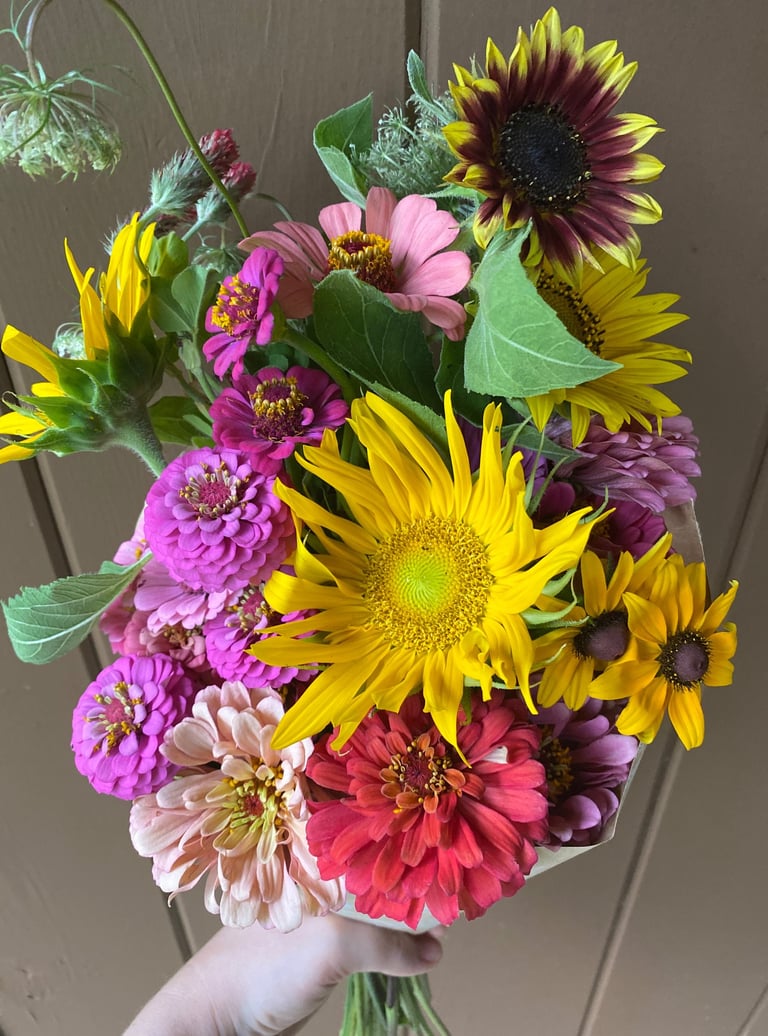 Locally Grown Bouquet of Zinnias Sunflowers
