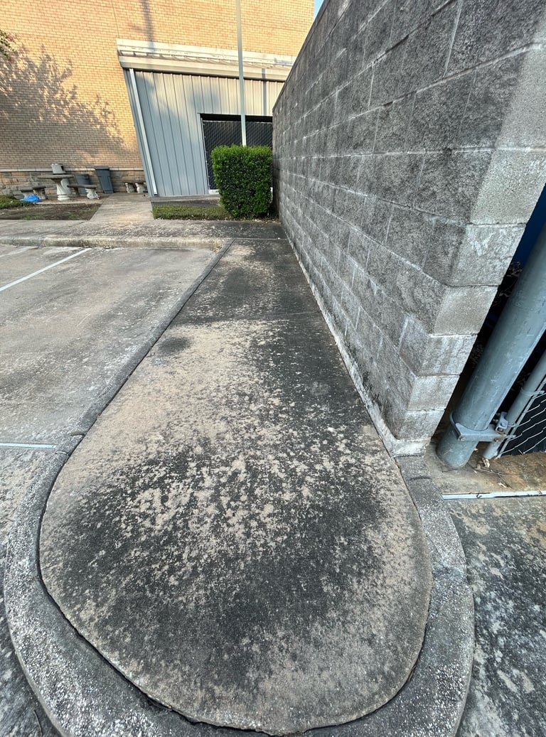 Sidewalk and Wall before Pressure Washing