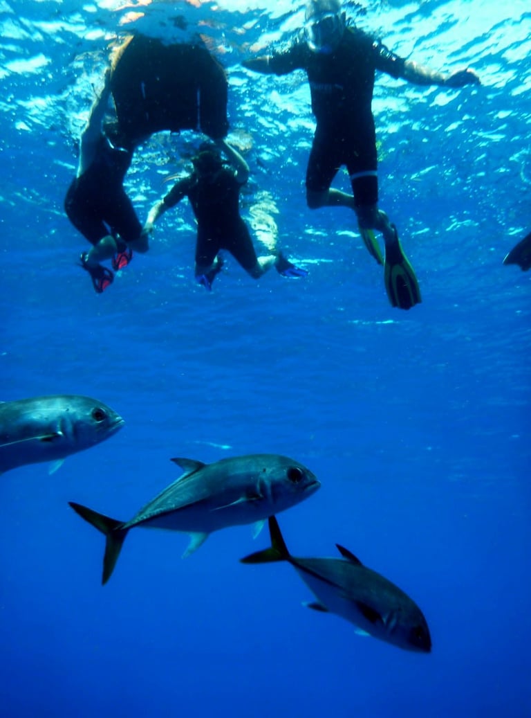 Anbadlola voyage france guadeloupe