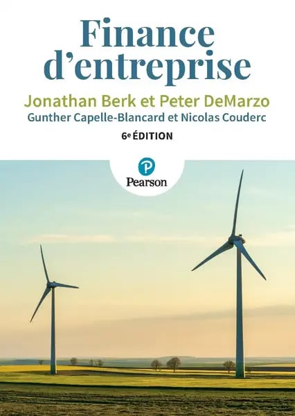 l'ensemble des décisions financières que doit prendre une entreprise pour maximiser ses profits et réduire ses coûts