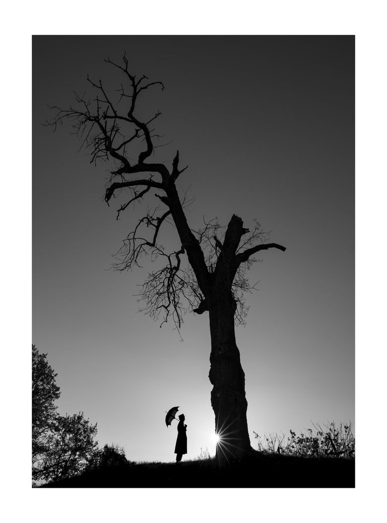 L'Arbre Magique - La Flâneuse 