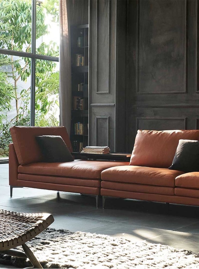 Moderni odinė sofa