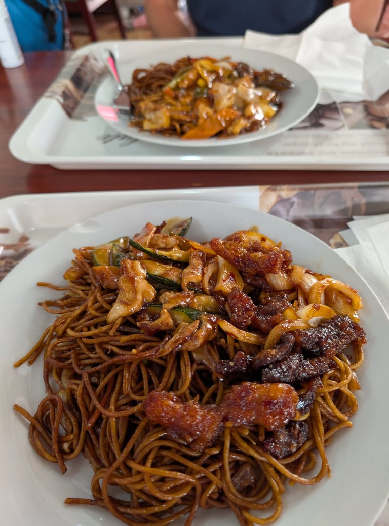 delicious lo mein with General tso's chicken in Budapest Hungary