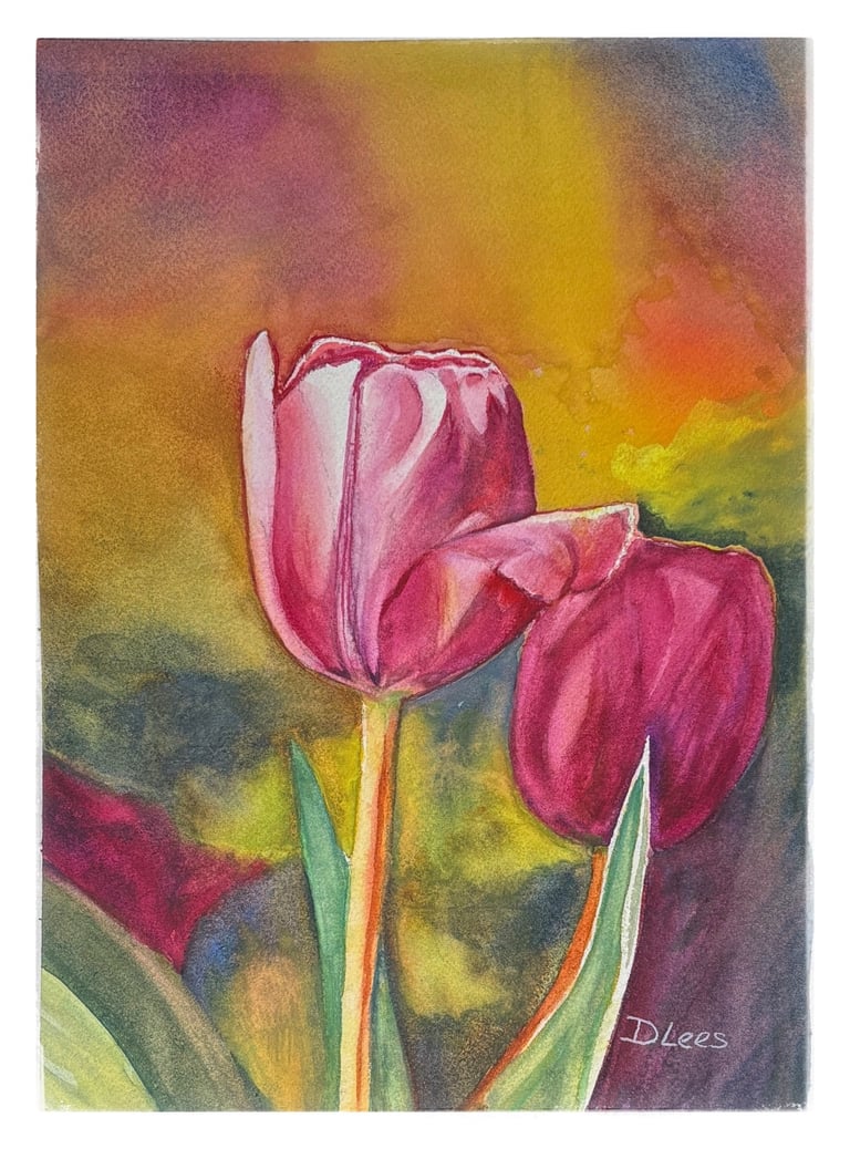 Watercolour of two pink Tulip flowers